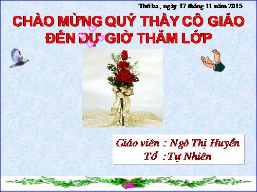 Chương II. §6. Bất phương trình mũ và bất phương trình lôgarit