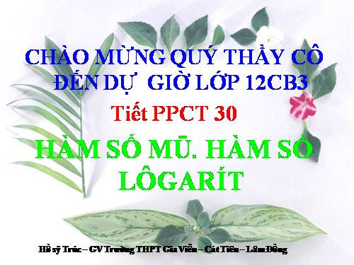 Ôn tập Chương II. Hàm số lũy thừa. Hàm số mũ và Hàm số Lôgarit