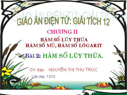 Chương II. §2. Hàm số lũy thừa