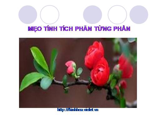 Mẹo tính nhanh tích phân từng phần