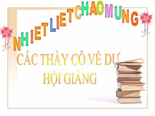 Các bài Luyện tập