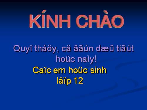 Các bài Luyện tập