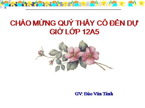 Các bài Luyện tập