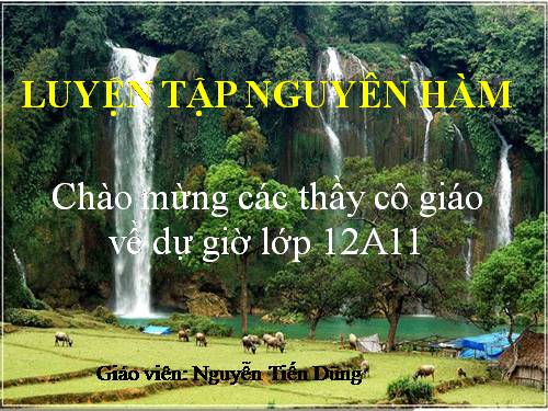 Các bài Luyện tập