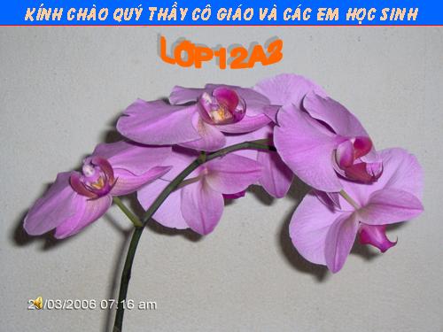 Chương I. §5. Khảo sát sự biến thiên và vẽ đồ thị hàm số