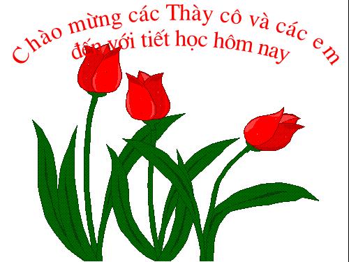 Bài tập: Cực đại, cực tiểu