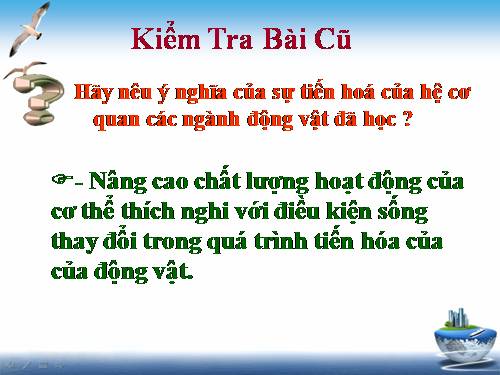 Bài 57. Đa dạng sinh học