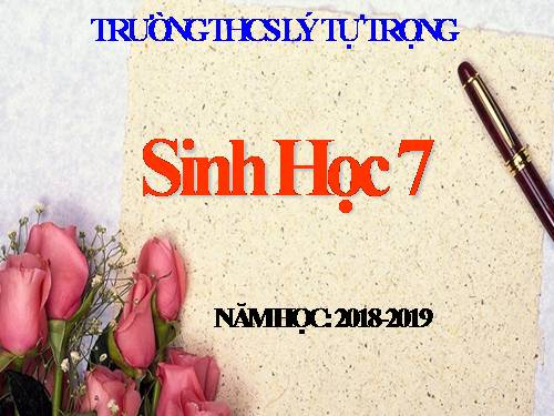 Bài 55. Tiến hoá về sinh sản