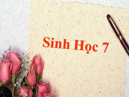 Bài 56. Cây phát sinh giới Động vật