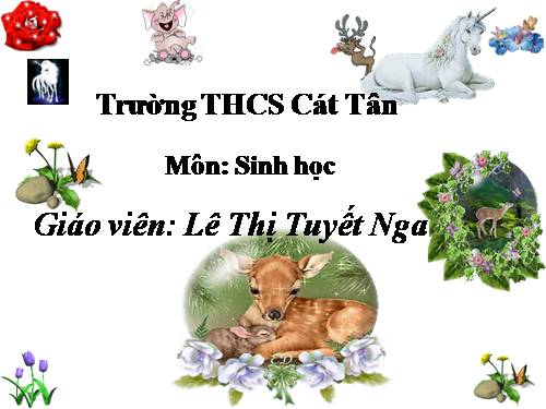 Bài 51. Đa dạng của lớp Thú: Các bộ Móng guốc và bộ Linh trưởng