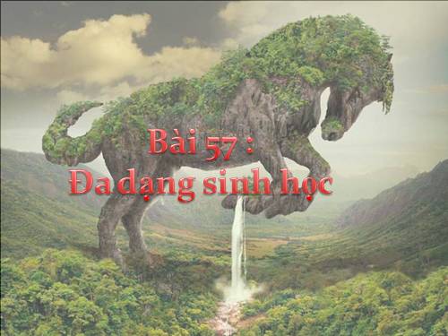 Bài 57. Đa dạng sinh học