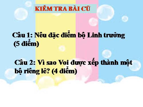 Bài 54. Tiến hoá về tổ chức cơ thể