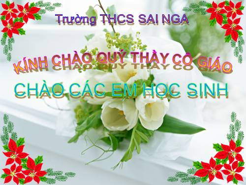 Bài 50. Đa dạng của lớp Thú: Bộ Ăn sâu bọ, bộ Gặm nhấm, bộ Ăn thịt