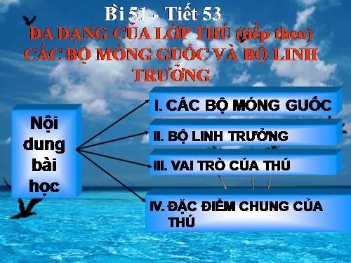 Bài 51. Đa dạng của lớp Thú: Các bộ Móng guốc và bộ Linh trưởng