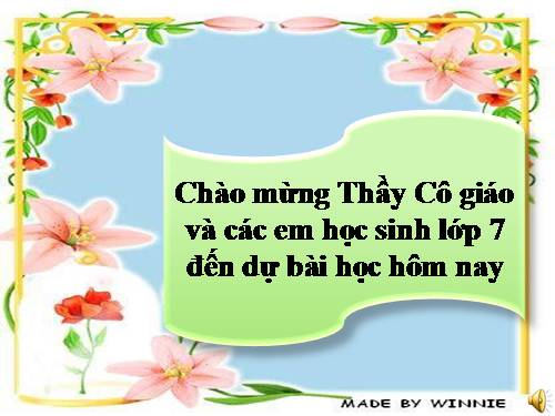 Bài 51. Đa dạng của lớp Thú: Các bộ Móng guốc và bộ Linh trưởng