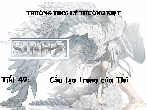 Bài 47. Cấu tạo trong của thỏ