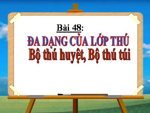 Bài 48. Đa dạng của lớp Thú: Bộ Thú huyệt, bộ Thú túi