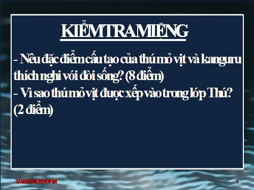 Bài 49. Đa dạng của lớp Thú: Bộ Dơi và bộ Cá voi