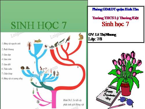 Bài 27. Đa dạng và đặc điểm chung của lớp Sâu bọ