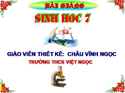 Bài 47. Cấu tạo trong của thỏ