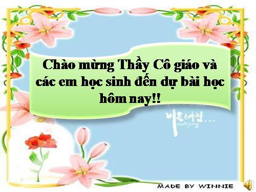 Bài 51. Đa dạng của lớp Thú: Các bộ Móng guốc và bộ Linh trưởng