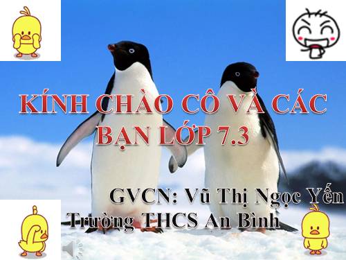 Bài 45. Thực hành: Xem băng hình về đời sống và tập tính của chim