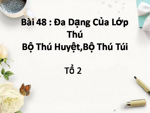 Bài 48. Đa dạng của lớp Thú: Bộ Thú huyệt, bộ Thú túi