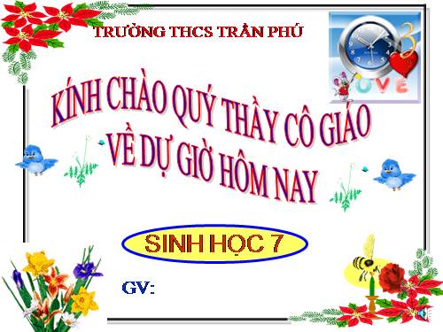 Bài 46. Thỏ