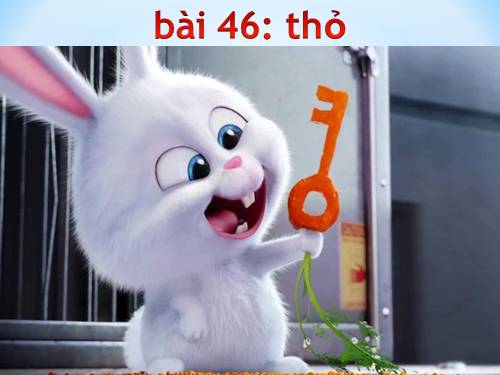 Bài 46. Thỏ