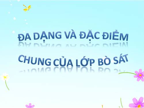 Bài 40. Đa dạng và đặc điểm chung của lớp Bò sát