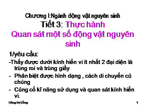 Bài 3. Thực hành: Quan sát một số động vật nguyên sinh