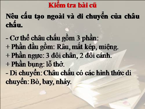 Bài 27. Đa dạng và đặc điểm chung của lớp Sâu bọ