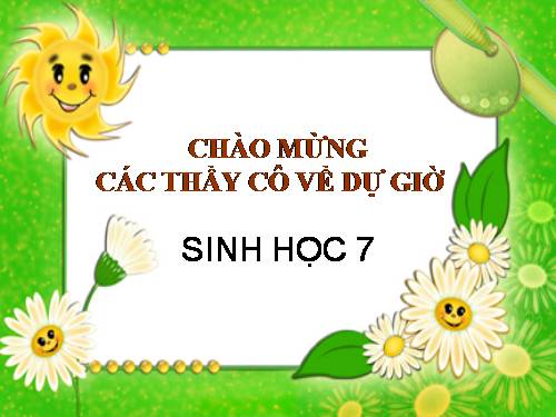 Bài 24. Đa dạng và vai trò của lớp Giáp xác