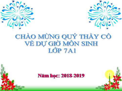 Bài 21. Đặc điểm chung và vai trò của ngành Thân mềm