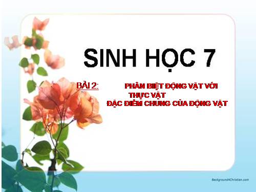 Bài 2. Phân biệt động vật với thực vật. Đặc điểm chung của động vật