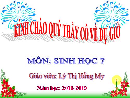 Bài 21. Đặc điểm chung và vai trò của ngành Thân mềm