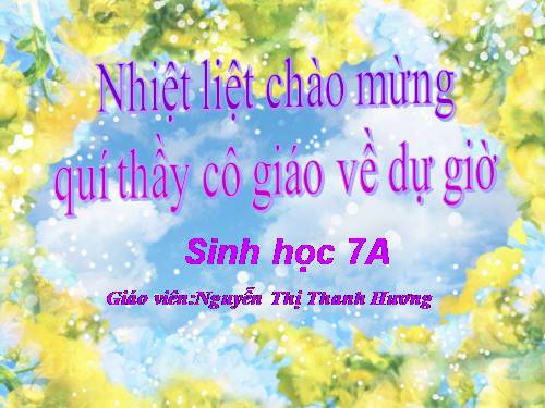 Bài 21. Đặc điểm chung và vai trò của ngành Thân mềm