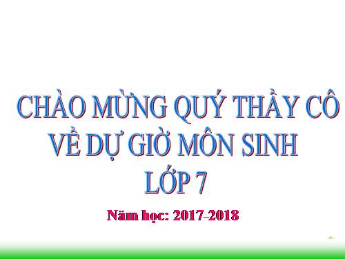 Bài 21. Đặc điểm chung và vai trò của ngành Thân mềm