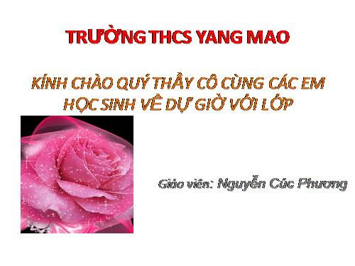 Bài 19. Một số thân mềm khác