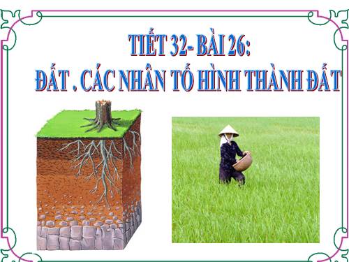 Bài 26. Đất. Các nhân tố hình thành đất