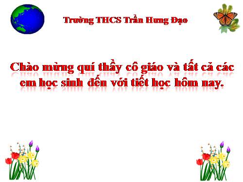 Bài 14. Địa hình bề mặt Trái Đất (tiếp theo)