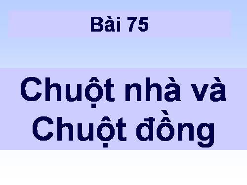 Kể chuyện 1.bài 75