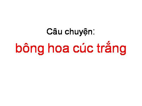 Tuần 5. Bông hoa cúc trắng