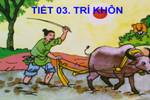 Tuần 3. Trí khôn