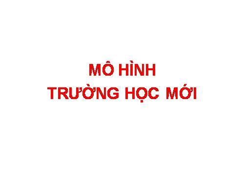 Mô hình VNEN