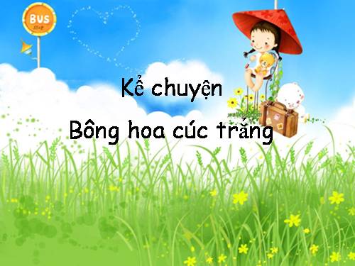 Tuần 5. Bông hoa cúc trắng