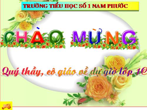 Tuần 7. Sói và Sóc