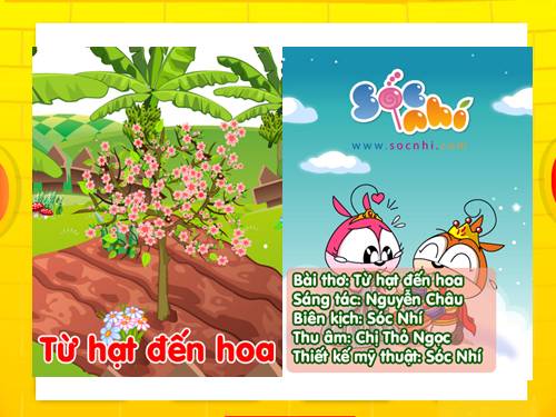 Từ hạt đến hoa