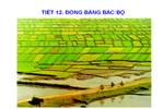 Bài 11. Đồng bằng Bắc Bộ