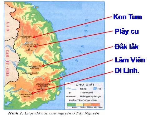 Bài 6. Một số dân tộc ở Tây Nguyên